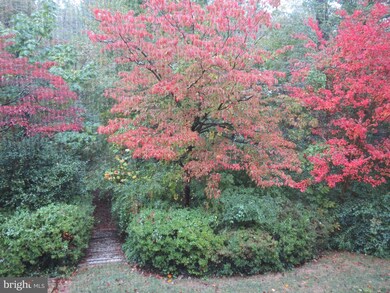 9214 Santayana Dr, Fairfax, VA 22031 - photo 5