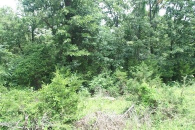 156 Hand Cove Rd, Elizabeth, AR 72531 - photo 5