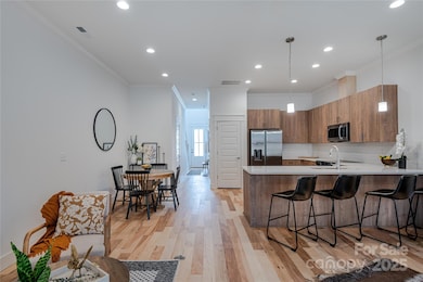 Model (Photo Similar)