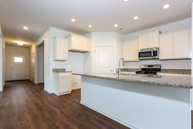 1010 Carolina Ct, Pingree Grove, IL 60140 - photo 3