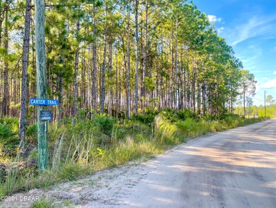 0 Carter Trail unit 1220141, Ormond Beach, FL 32174 - photo 6