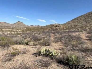 27236 Huff Rd Off Lake Ament-Christmas Wells Tank, Terlingua, TX 79852 - photo 7