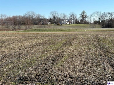 185 Owl Creek Dr, Vine Grove, KY 40175 - photo 3