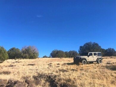 21 N Un Named Rd, Ash Fork, AZ 86320 - photo 4