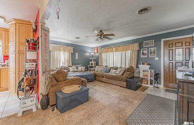 5 Sycamore Ln, Lincoln, IL 62656 - photo 4