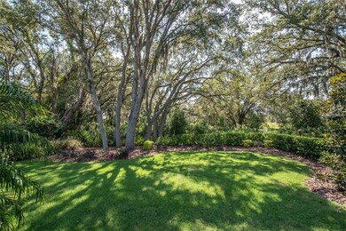 16007 Courtside View Dr, Lithia, FL 33547 - photo 4