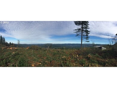 3494 Crooked Finger Rd NE, Scotts Mills, OR 97375 - photo 7