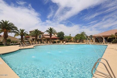 Palms b1