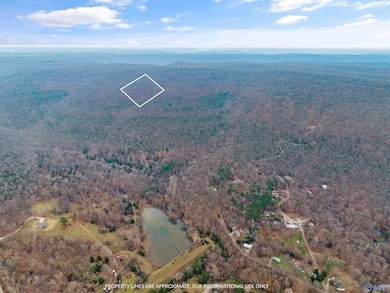 41 ac Kroff Rd, Gurley, AL 35748 - photo 5