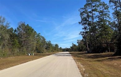 312 Iron Horse Rd, Willis, TX 77358 - photo 3