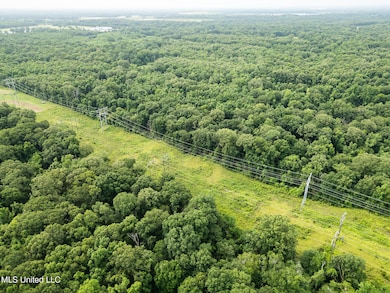 403 Mount Pleasant - Zachary Rd, Zachary, LA 70791 - photo 2