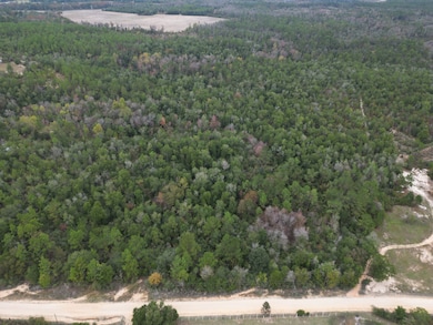 2839 Highview Cir, Chipley, FL 32428 - photo 6