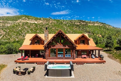 6590 Road 46, Mancos, CO 81328 - photo 5