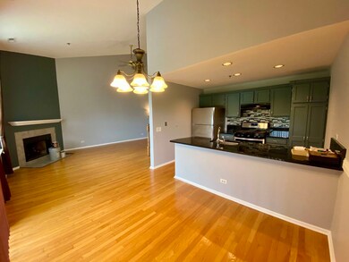 5S510 Scots Dr unit G, Naperville, IL 60563 - photo 3