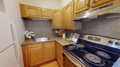 16 Arizona Terrace unit 3, Arlington, MA 02474 - photo 7