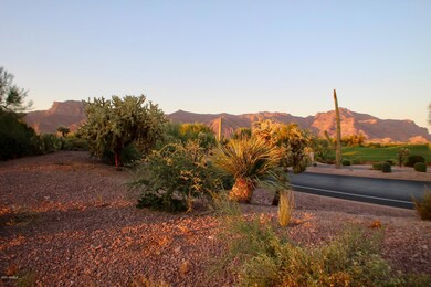 3873 S Gambel Quail Way unit 14, Gold Canyon, AZ 85118 - photo 5