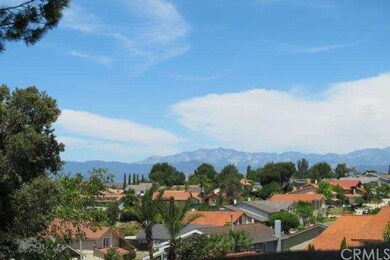 city and mountain view (snow mountain)