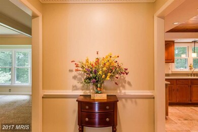 6903 Bloomsbury Ln, Spotsylvania, VA 22553 - photo 4