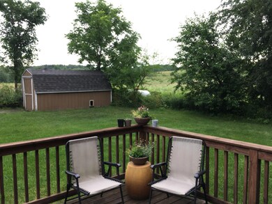 back yard