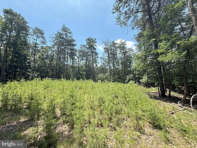 0 14 5 Ac Pcl A- Off Virginia Line Rd, Berkeley Springs, WV 25411 - photo 4