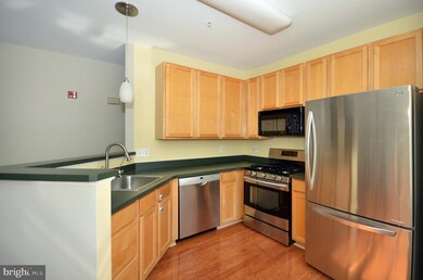 5004 Willow Branch Way unit 301, Owings Mills, MD 21117 - photo 2