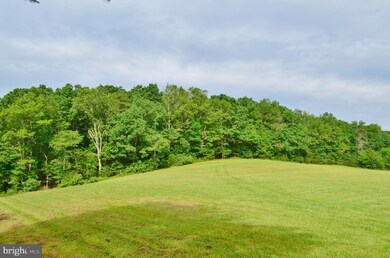 0 Dellinger Gap Rd unit VASH119516, Edinburg, VA 22824 - photo 5