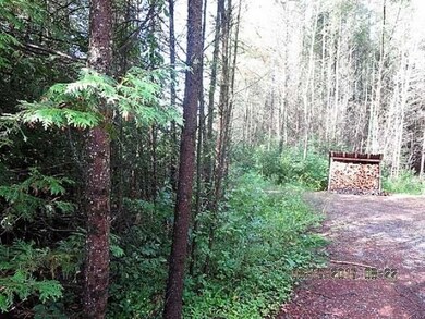 N6235 Anderson Rd, Porterfield, WI 54159 - photo 2