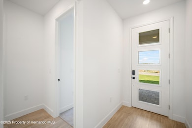 9071 Players Dr, Weeki Wachee, FL 34613 - photo 4