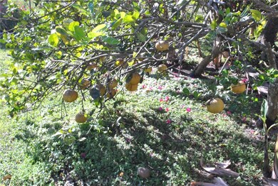 5667 Meadowlark Ln, Pine Island Center, FL 33922 - photo 7