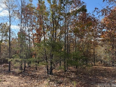 10 Summer Tyme Dr, Greenbrier, AR 72058 - photo 2