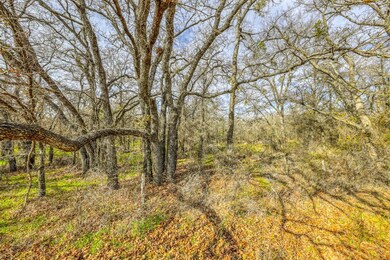 000C Lacy Dr, Lipan, TX 76462 - photo 5