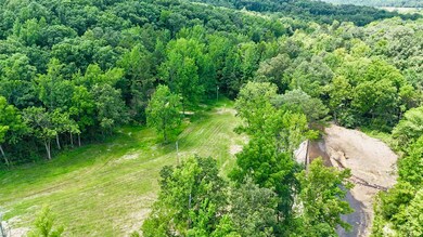 42.83 acres Rose Trail, Melbourne, AR 72556 - photo 3