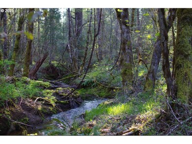 0 Davis Creek Rd, Selma, OR 97538 - photo 5