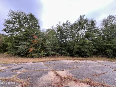 Lot 21 Vicki Ct, Chipley, FL 32428 - photo 2