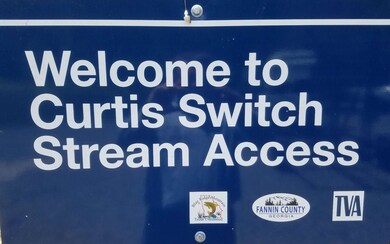 10 Fish Camp Way, Mineral Bluff, GA 30559 - photo 4