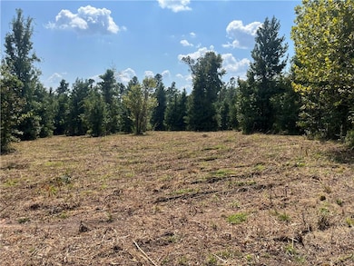 0 Cotile Lake Rd, Boyce, LA 71409 - photo 5