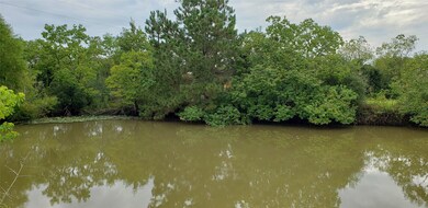 20202 Tealwood St, Waller, TX 77484 - photo 5