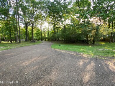 274 Pine Tree paved drive