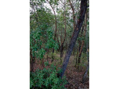 0 North Ct unit 594381467, Riddle, OR 97469 - photo 3