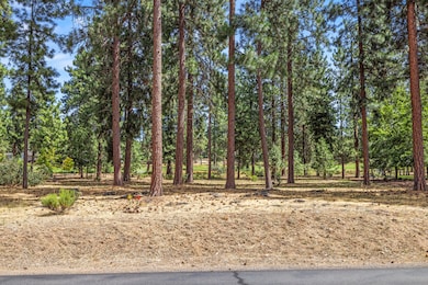 0 Merganser Rd unit 62 220204871, Klamath Falls, OR 97601 - photo 6