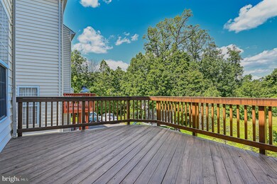 4703 Cochran Place, Centreville, VA 20120 - photo 5