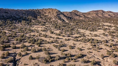 15311 Rancho Verde Rd, Trinidad, CO 81082 - photo 2