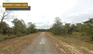 0 Devonshire Dr unit 25680647, Chipley, FL 32428 - photo 4