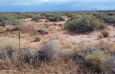 TBD Us 54, Chaparral, NM 88081 - photo 5