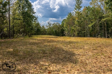 0 Tennessee 125, Henderson, TN 38340 - photo 2