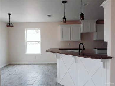 818 Sabrina Dr, Alamo, TX 78516 - photo 6