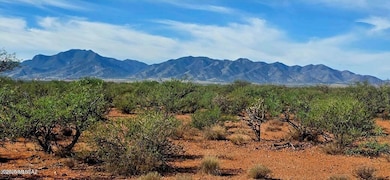 TBD 40 AC Ronald Reagan Pkwy, Whetstone, AZ 85616 - photo 3