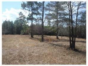 210 Laurel St unit TRACT  B, Pineville, LA 71360 - photo 2