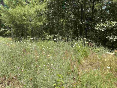 350 Forest Rd, Luray, VA 22835 - photo 2