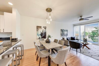 1728 W Terra Cotta Place unit D, Chicago, IL 60614 - photo 5